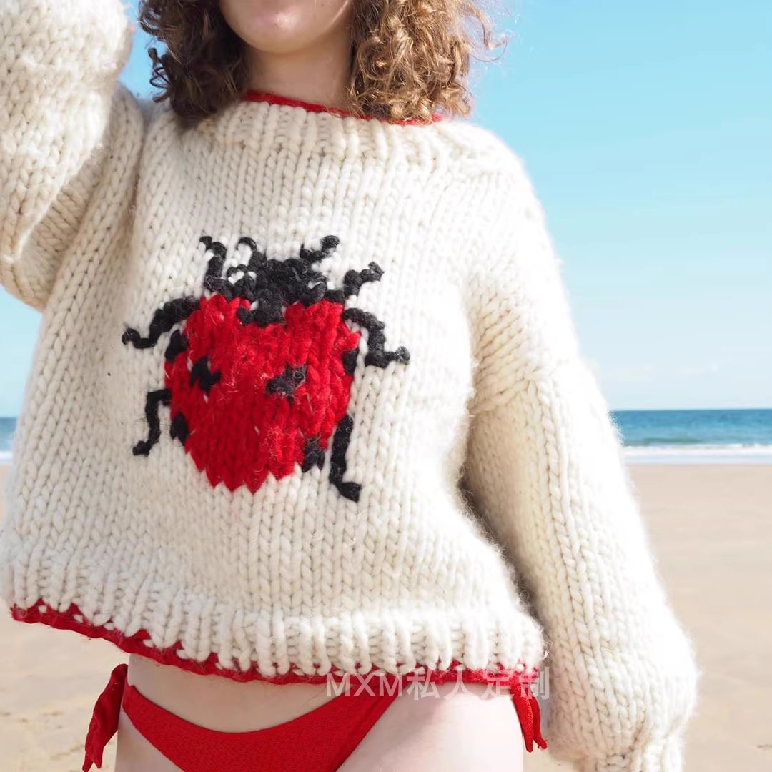 Maglione di lana grossa lavora - Embroidery Lady Bug recensione e prezzo